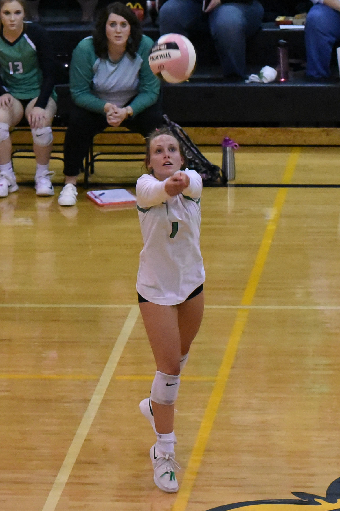 DSC_1316.jpg